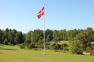 80
